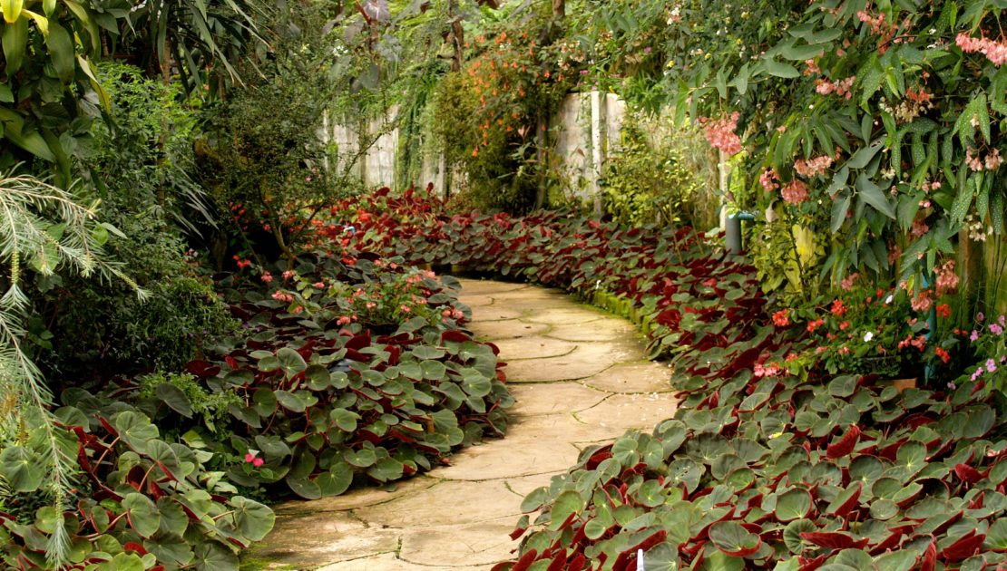 garden landscape walk path