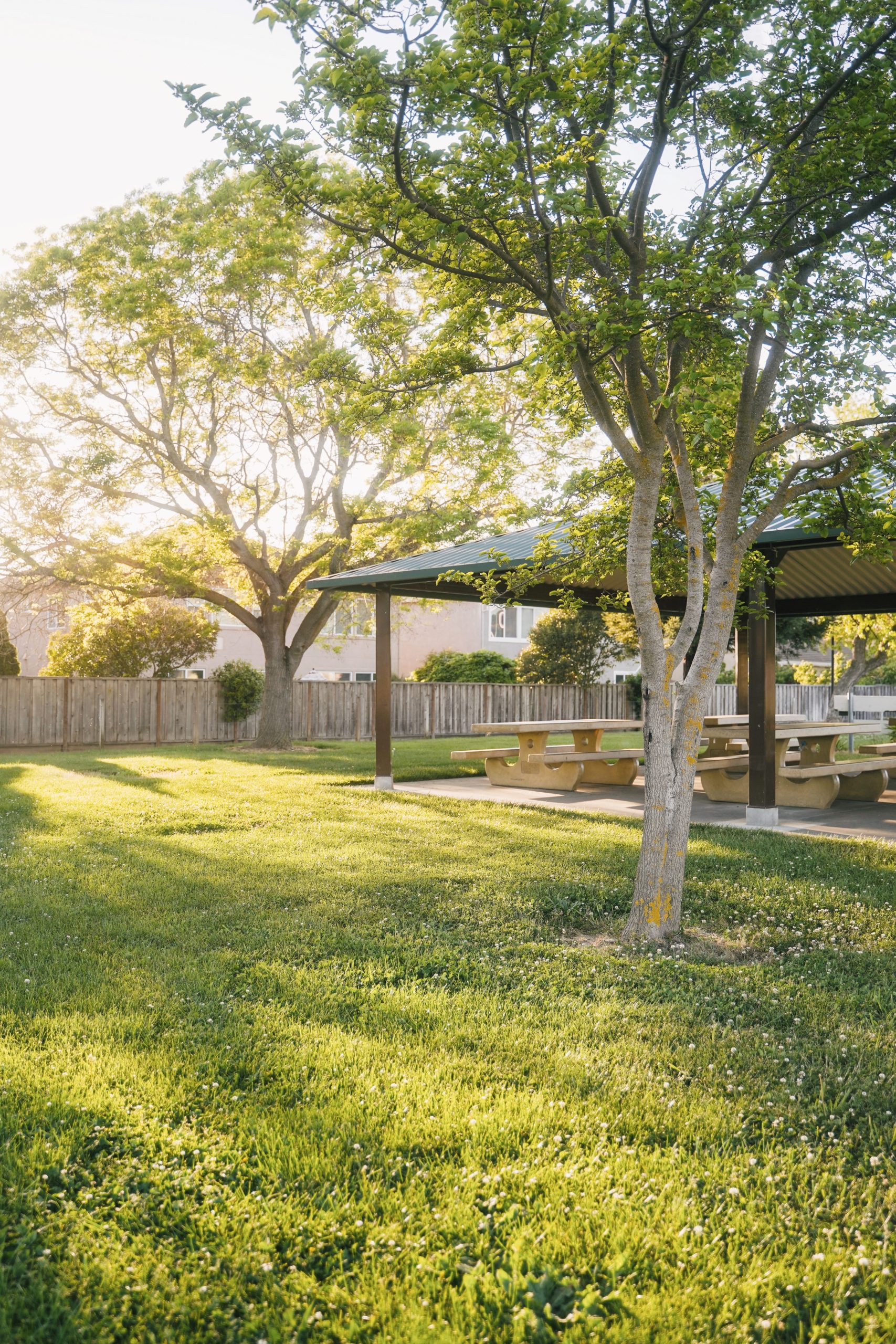 5 Easy Steps to Start Landscaping Your Small Backyard - Our Guide