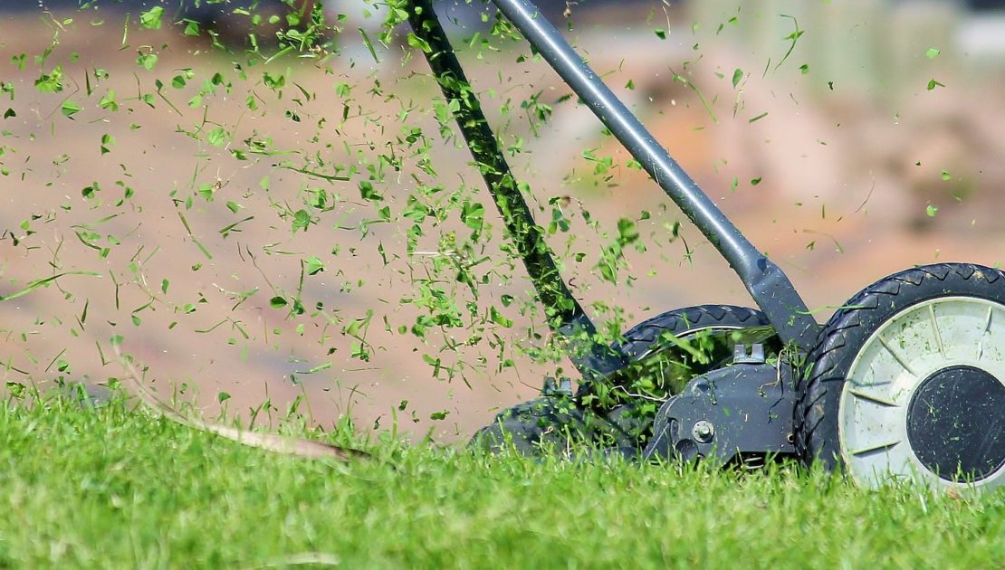 lawn mower on grass