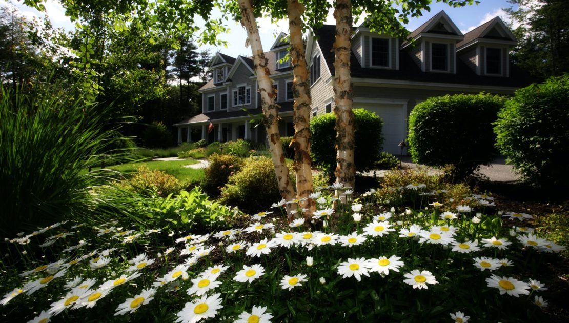 residential landscaping